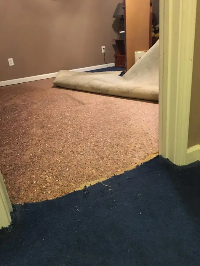 Carpet pad removal revealing water damage during Drying & Dehumidification in Martinsville