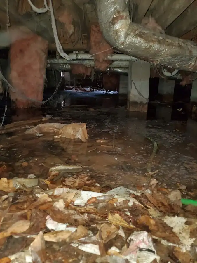 Crawl space flood assessment for Commercial Water Damage Restoration in Martinsville