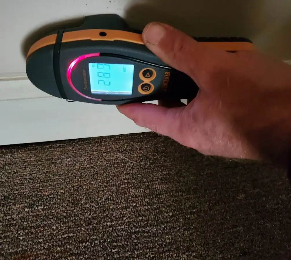 Moisture detection at baseboard during Sewage Cleanup & Sanitation in Martinsville
